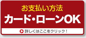 お支払い方法も選べます